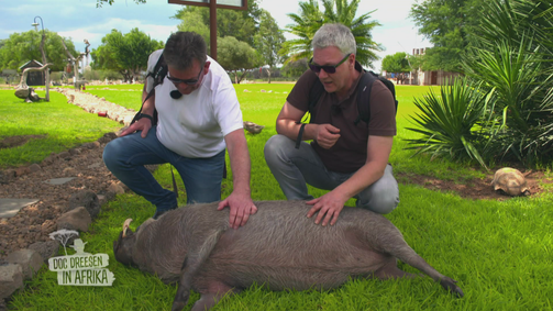 Doc Dreesen in Afrika - Jetzt wird's wild! Doc Dreesen in Afrika - Jetzt wird's wild! Folge 1: Folge 1