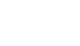 Air Jaws: Weiße Haie vor Neuseeland