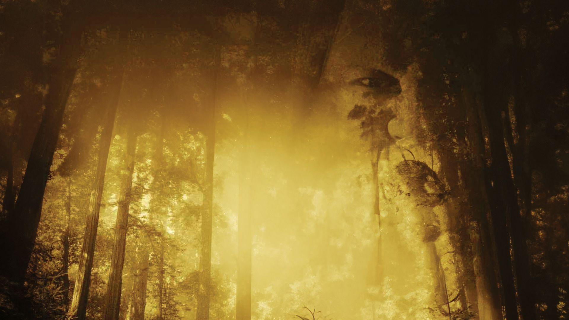 Wrong Turn 2 - Dead End