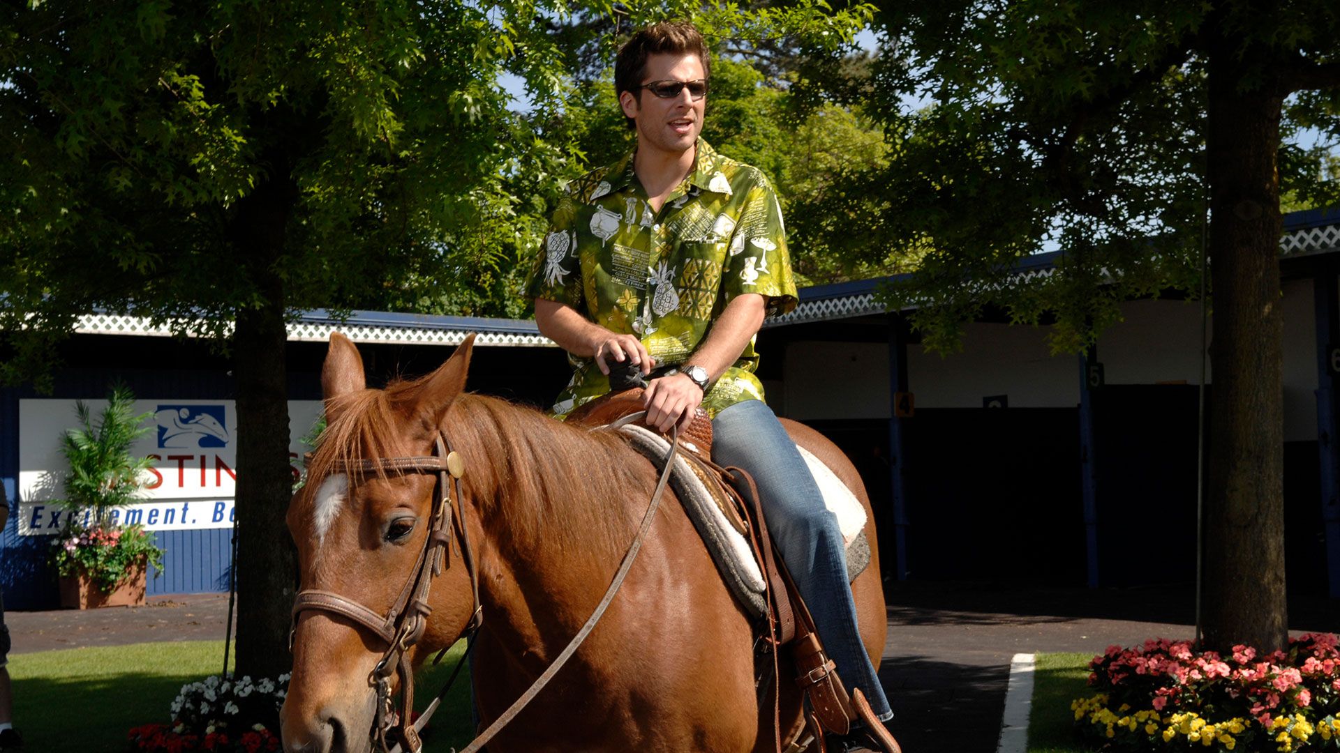 Pferdefüße beim Pferderennen