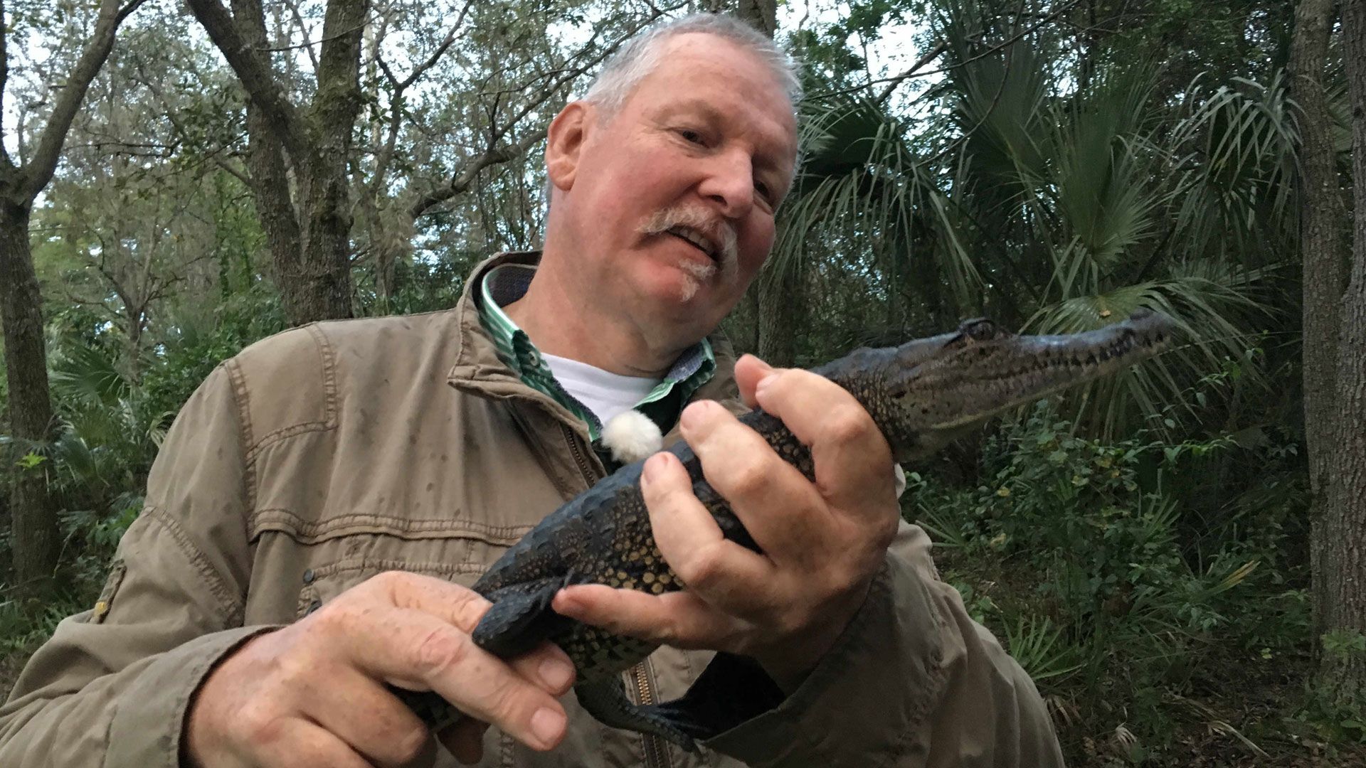 Florida (1)