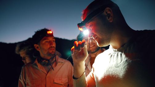 Nerd in the Dirt Nerd in the Dirt Folge 2: Auf Skorpionsuche in der stockfinsteren Wüste