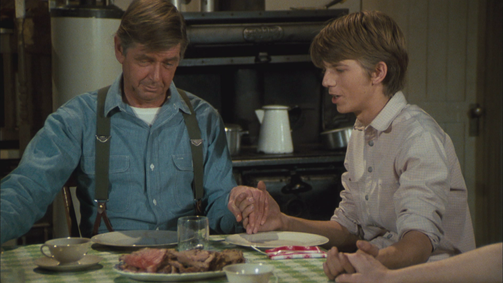 Die Waltons WALTONS, DIE - 07 Folge 19: Jim-Bobs Berufung