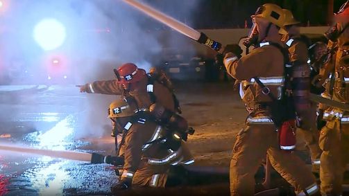 Alarmstufe L.A. - Die Ersten am Einsatzort Alarmstufe L.A. - Die Ersten am Einsatzort Folge 5: Leichtsinnige Sprünge und diebische Bären