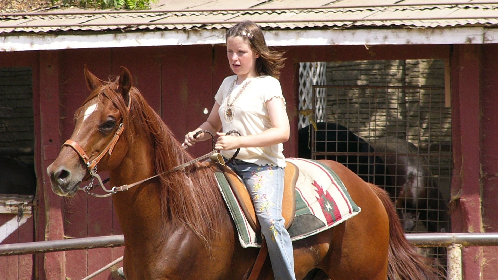Der Wiederholungstäter