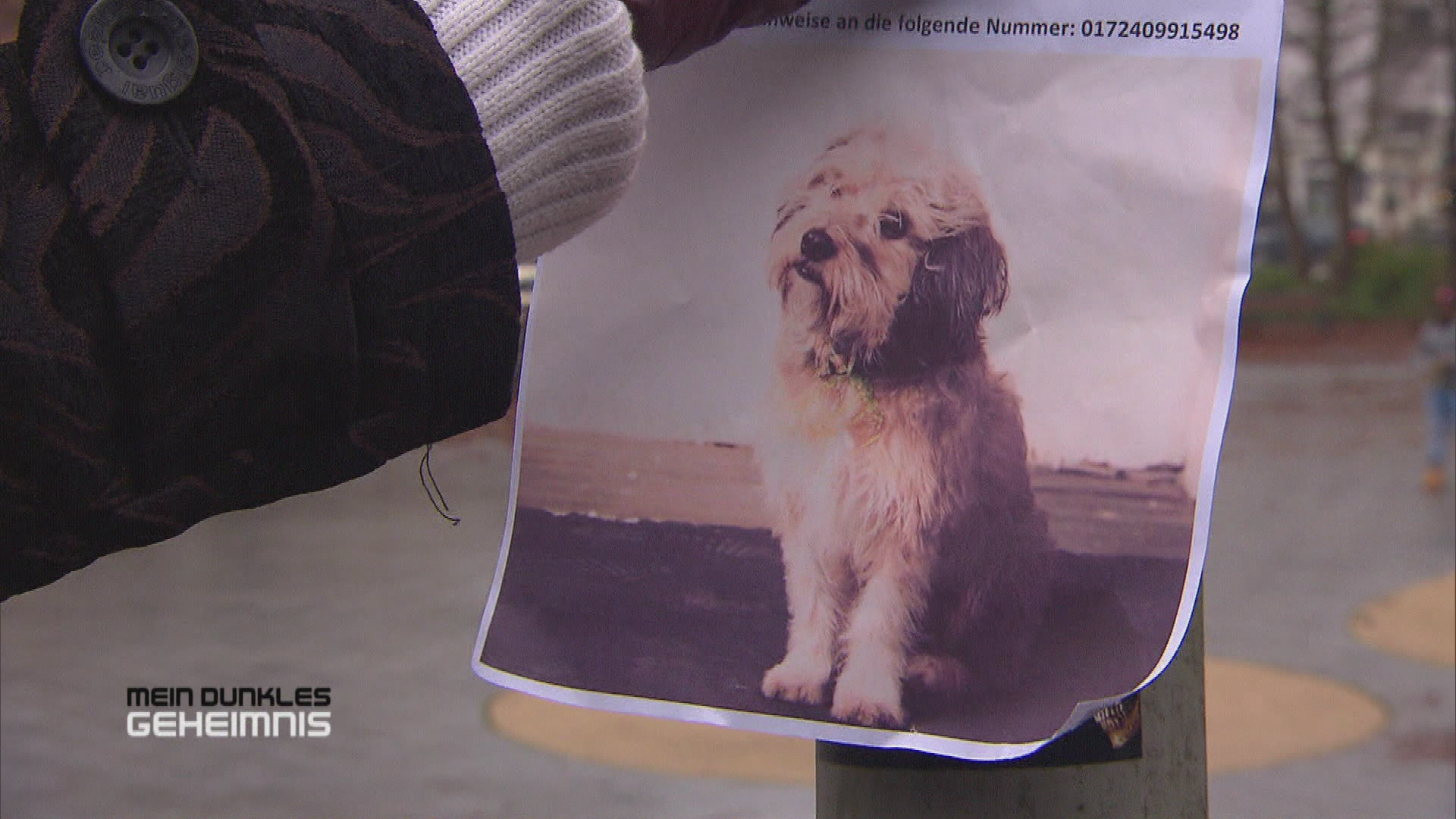 Schnipsel - verzweifelt gesucht