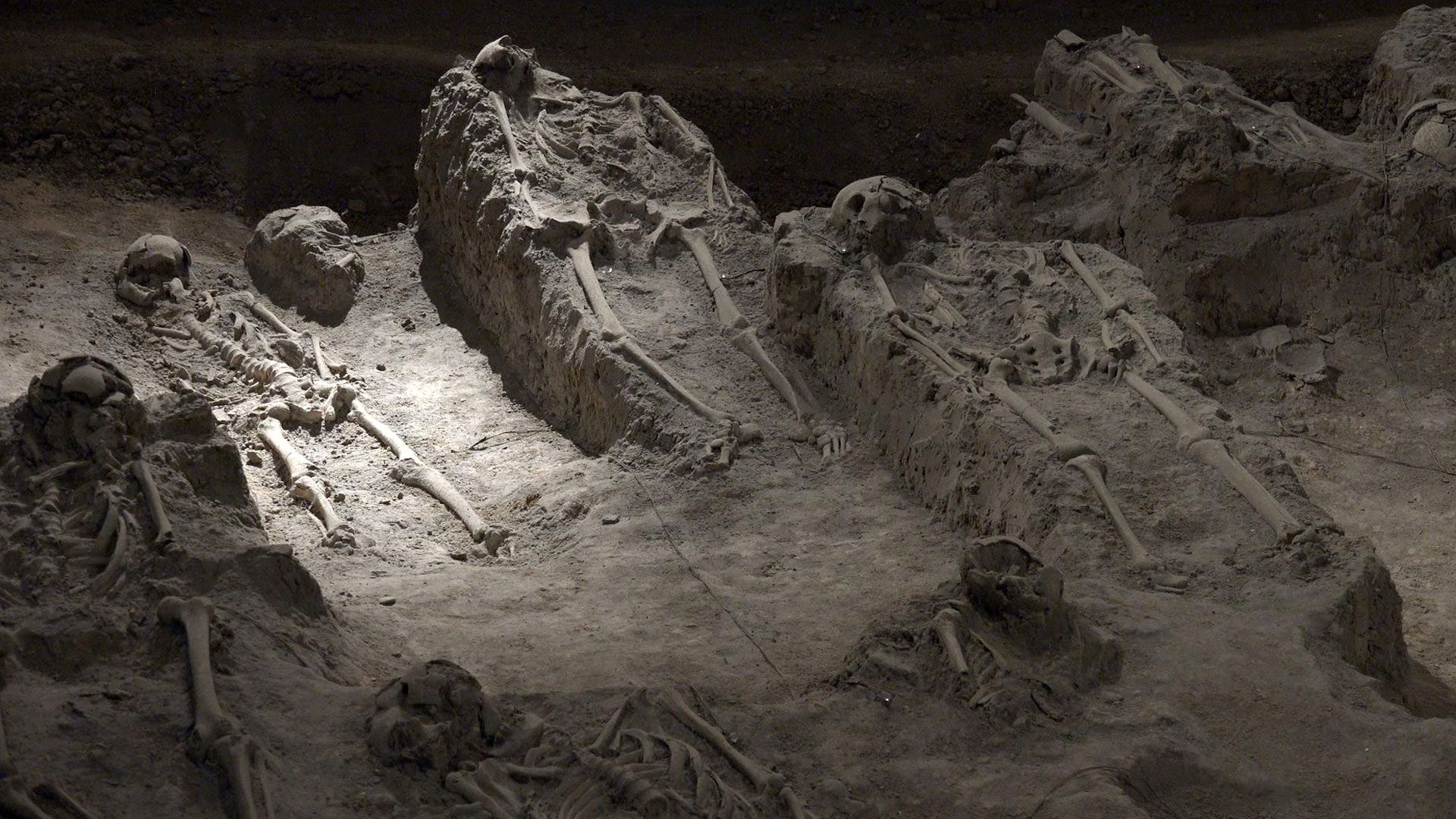 Der patagonische Drache