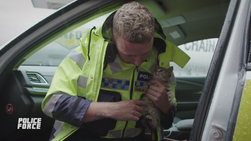 Police Force - Einsatz in Neuseeland Police Force - Einsatz in Neuseeland Folge 5: Notfall mit Katze