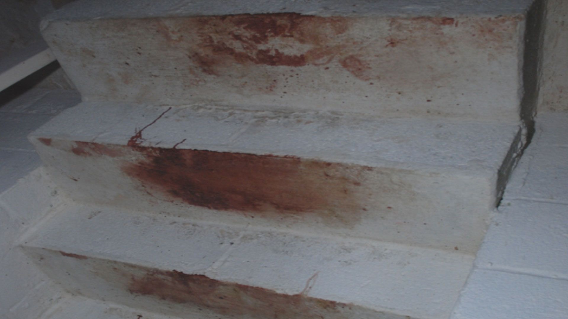 Der New Jersey Alptraum