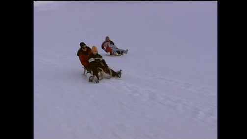 Die Lugners - Mit Mörtel in Venedig Die Lugners - Staffel 2 Folge 6: Die Lugners - Staffel 2 Folge 6 - Mörtel in der Mausefalle