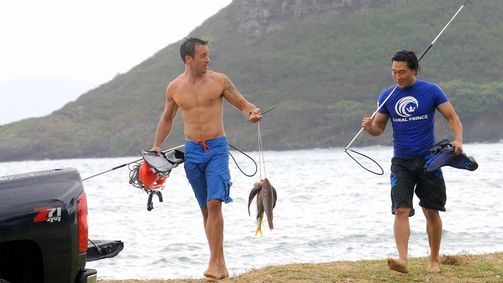 Hawaii Five-0 Hawaii Five-0 Folge 11: Tödliche Flitterwochen