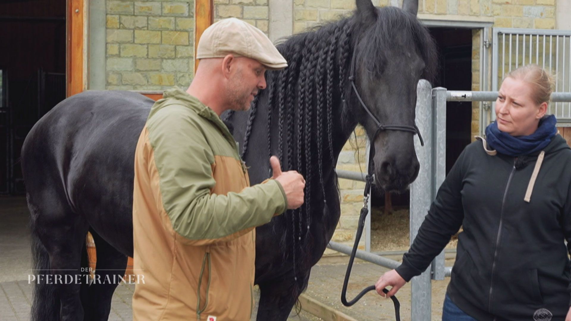 Eine ängstliche Friesenstute und ein Trakehner mit Rückenschmerzen