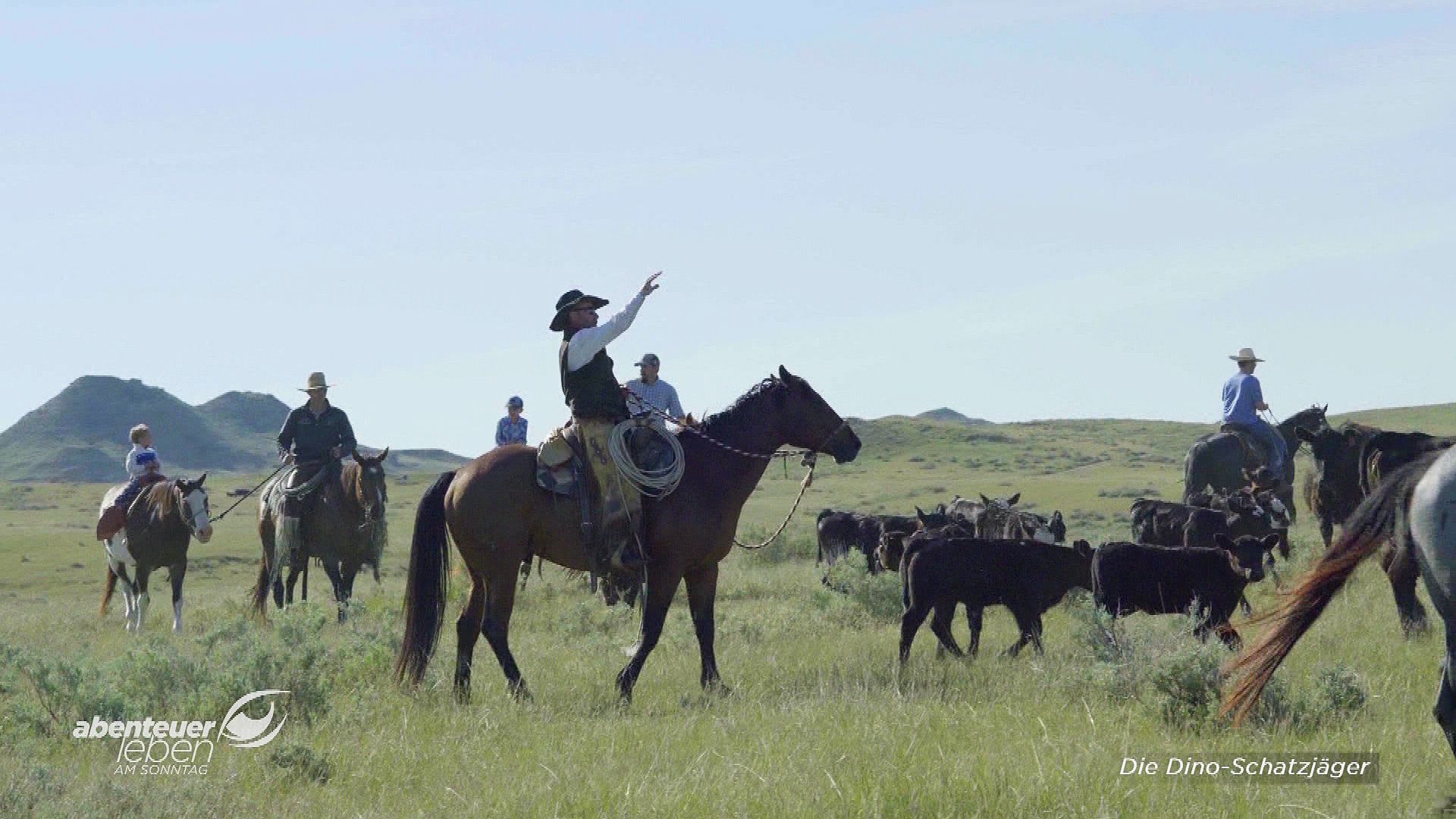 Die unglaubliche Schatzsuche im Dino-Land USA