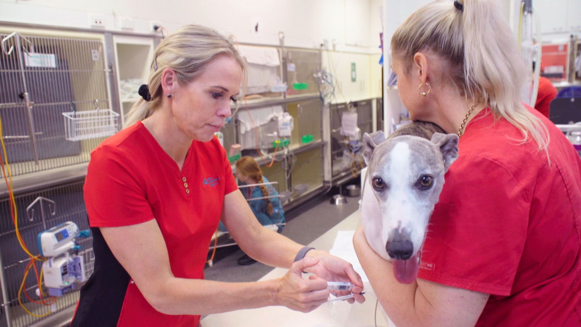 Schokolade macht krank