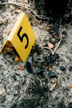 Killer Couples: Mörderische Paare