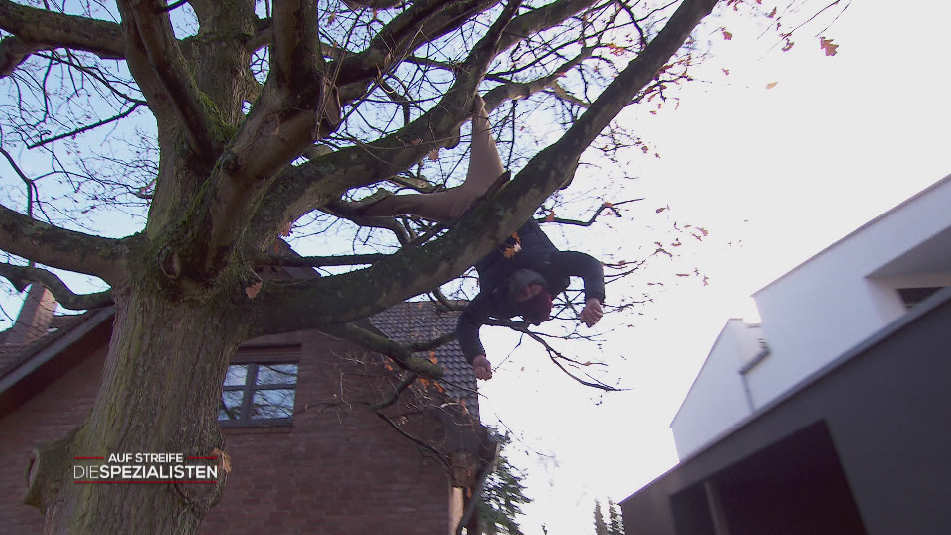 Die diebische Elster