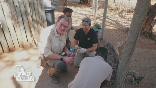 Doc Dreesen in Afrika - Jetzt wird's wild! Doc Dreesen in Afrika - Jetzt wird's wild! Folge 1: Alte Freundschaften und neue Herausforderungen: Dr. Dreesen zurück in Namibia