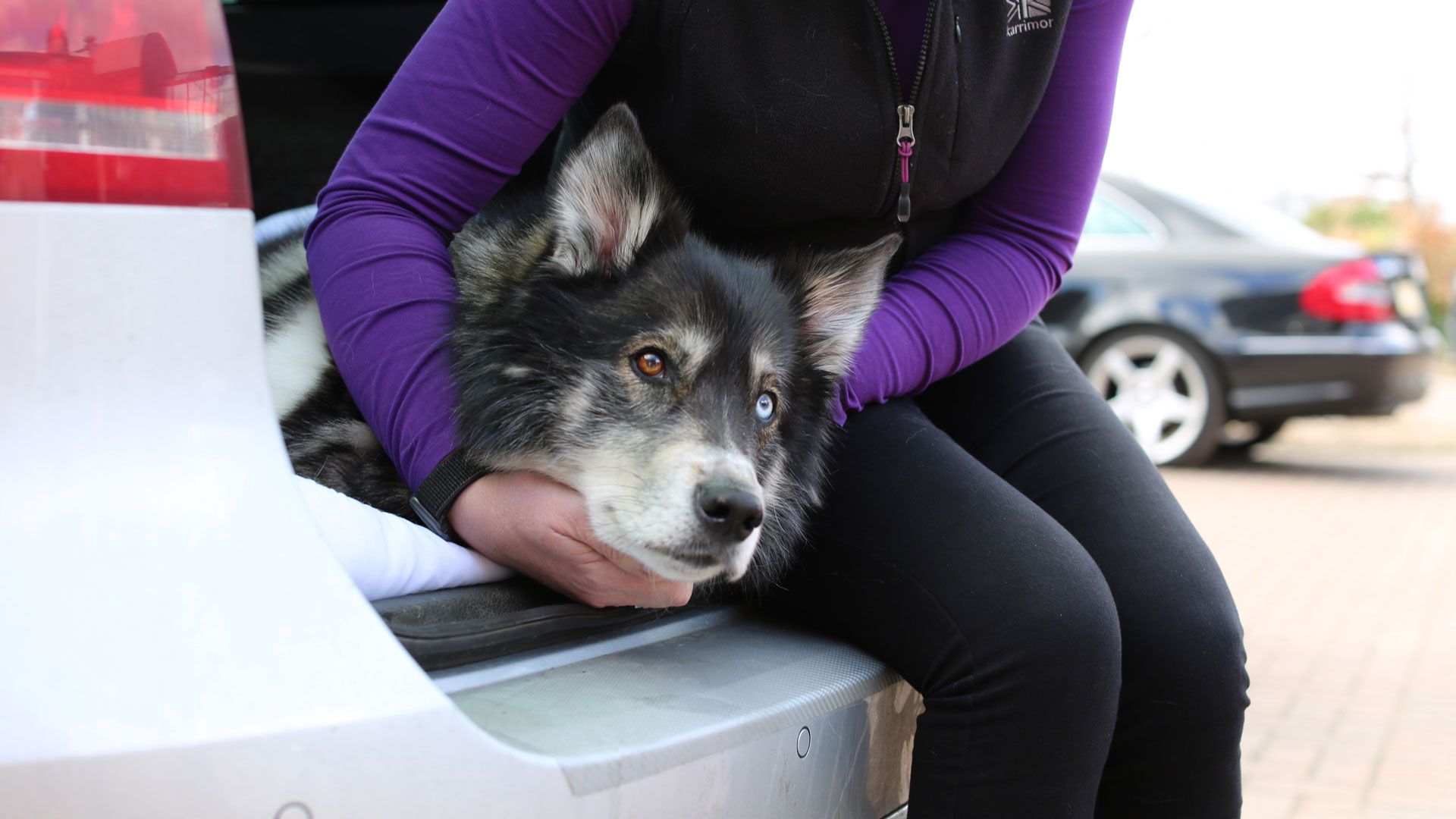 Trigger, Fury und Raven