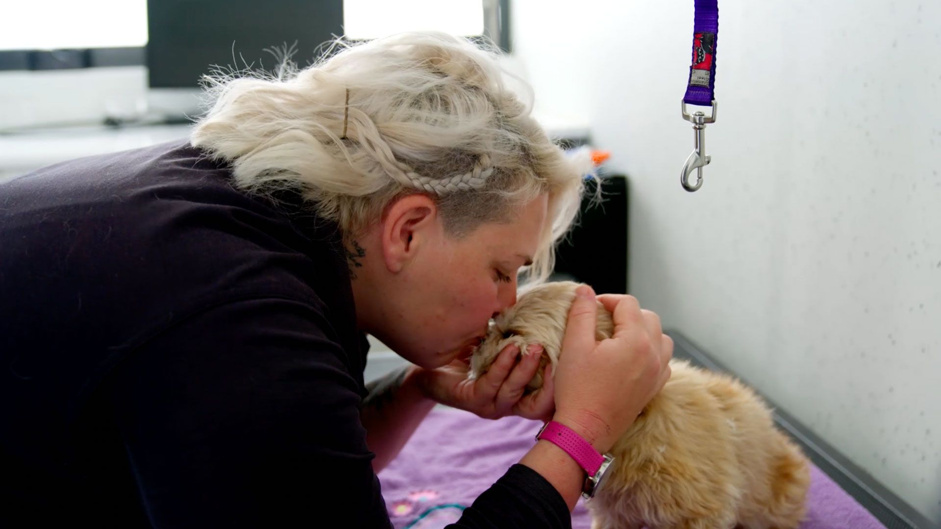 Kuschelige Kätzchen