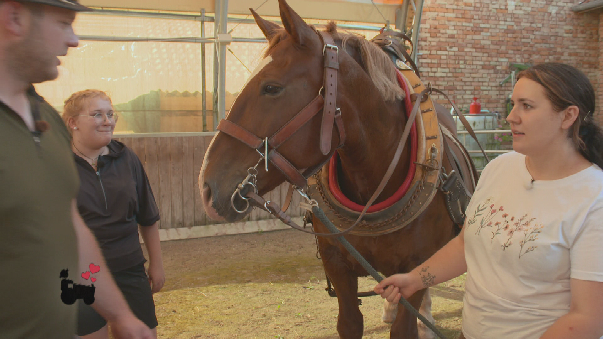 Trockenübungen und feuchte Träume