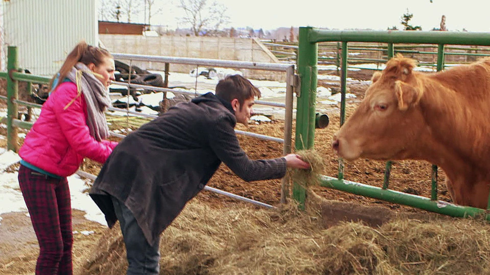 Fotoshoot für David