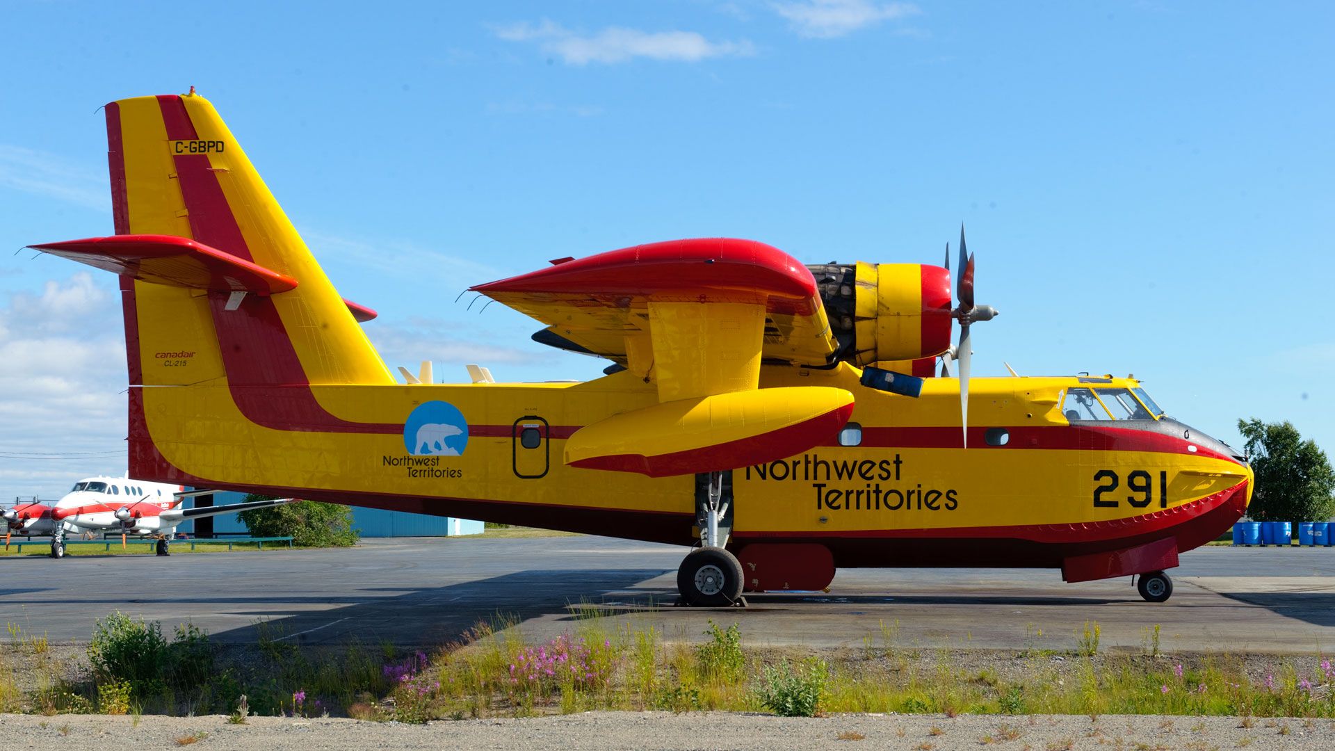 Treffer, Tricks und Tränen