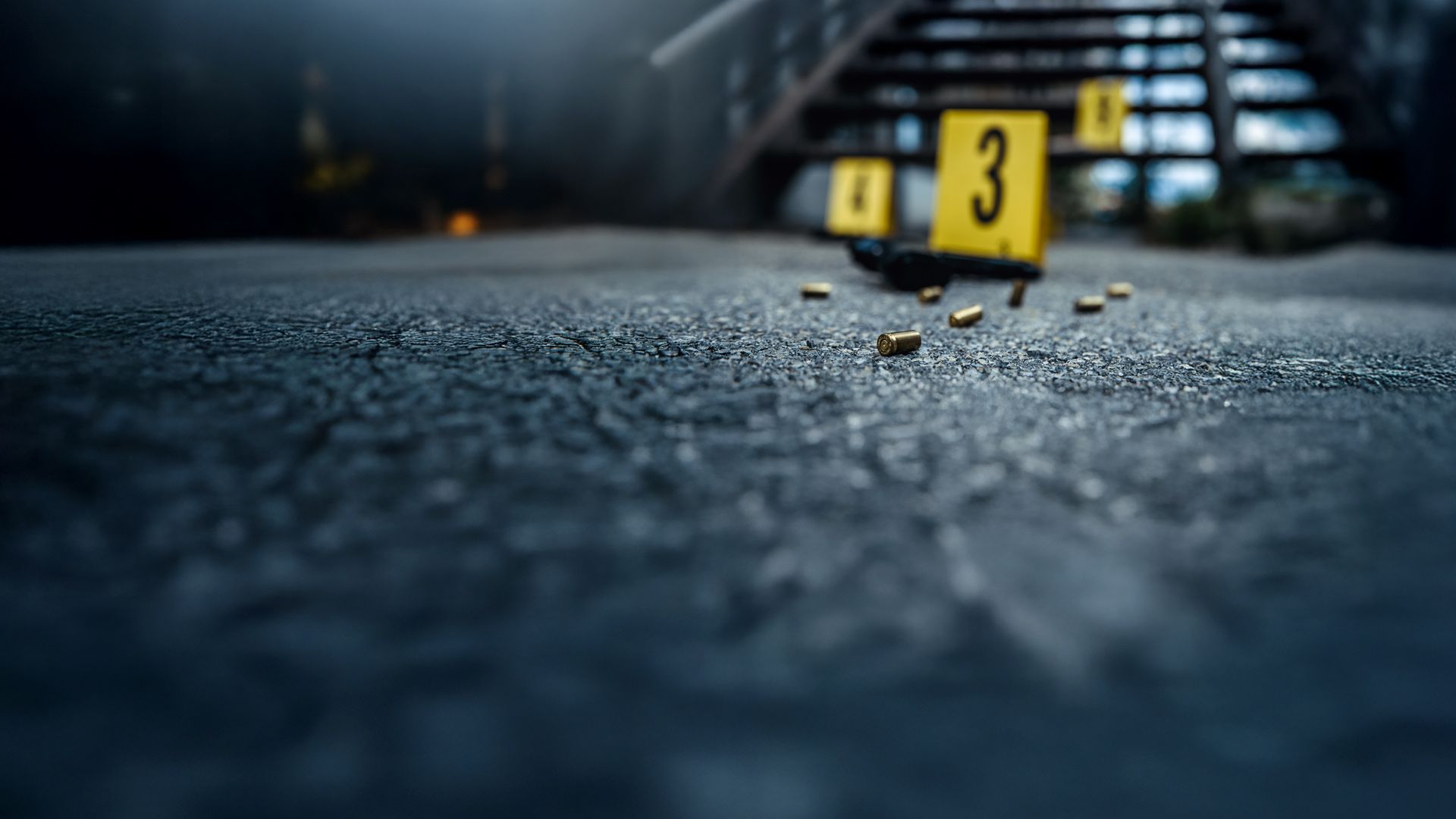 Forensic Factor - Beweise lügen nicht