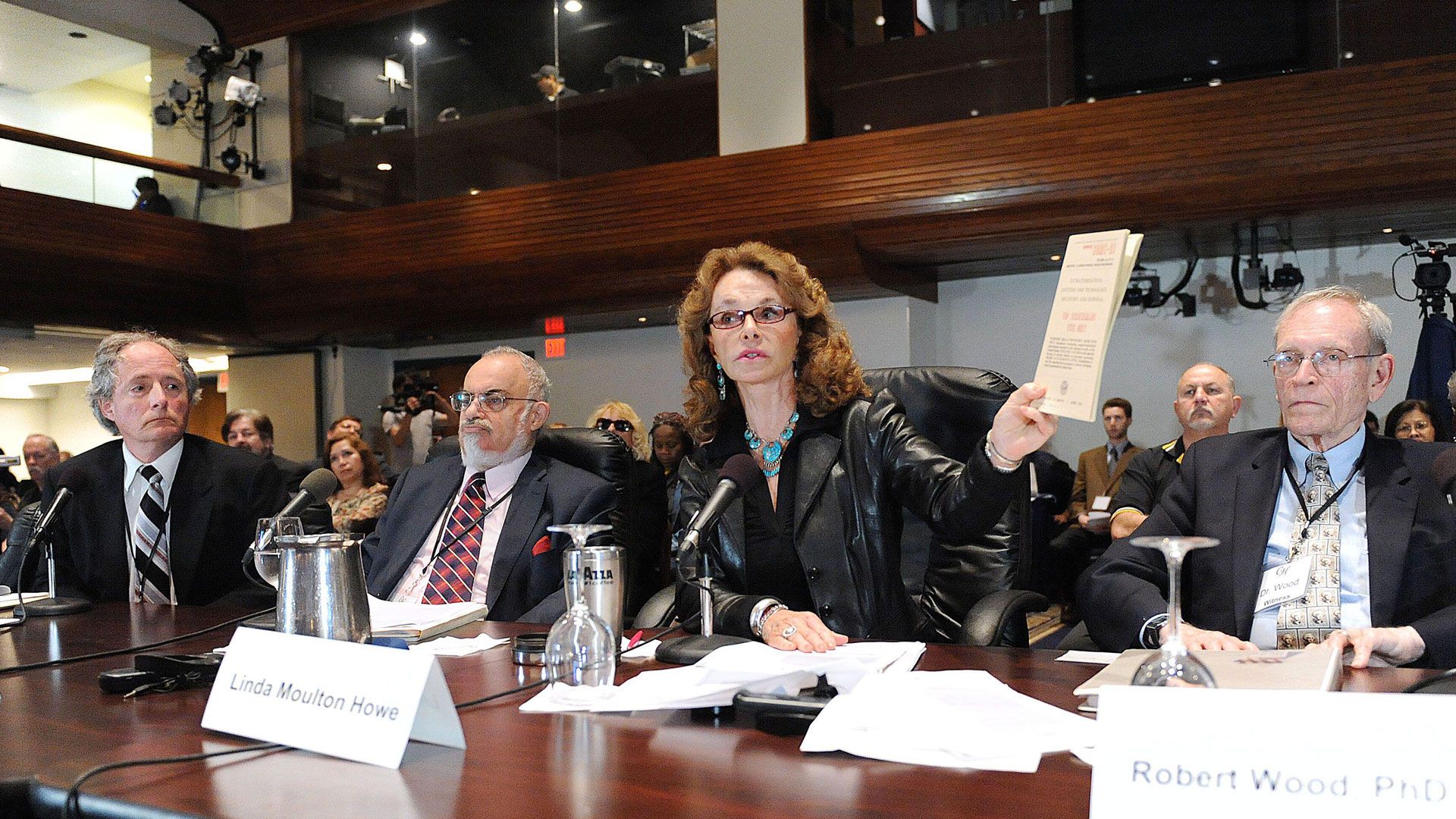 Die Theorien von Linda Moulton Howe