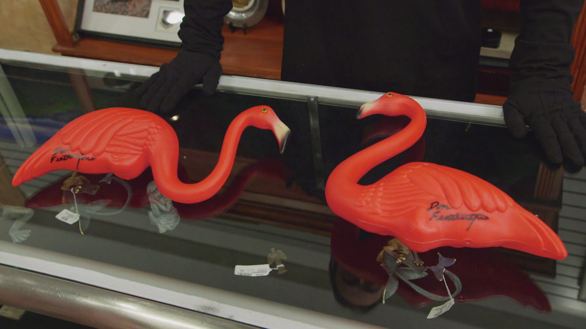 Flamingo-Freuden