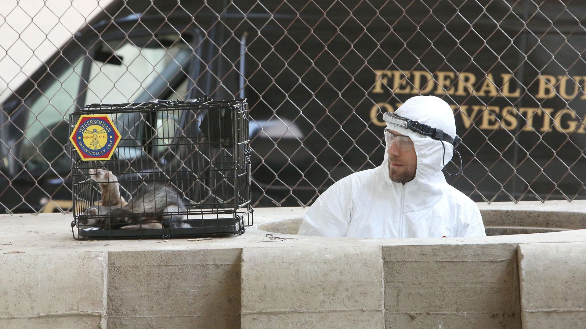 Der Unterleib des Unbeliebten