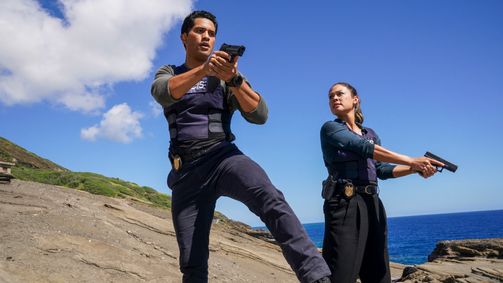 Navy CIS: Hawaii Navy CIS: Hawaii Folge 17: Fehler im System