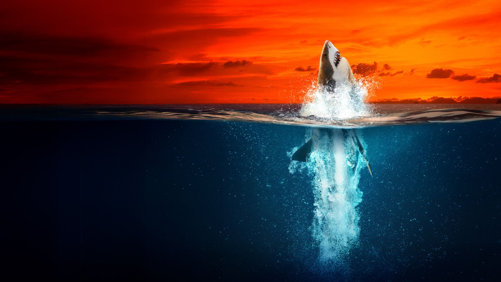 Air Jaws: Haie auf Medaillenkurs