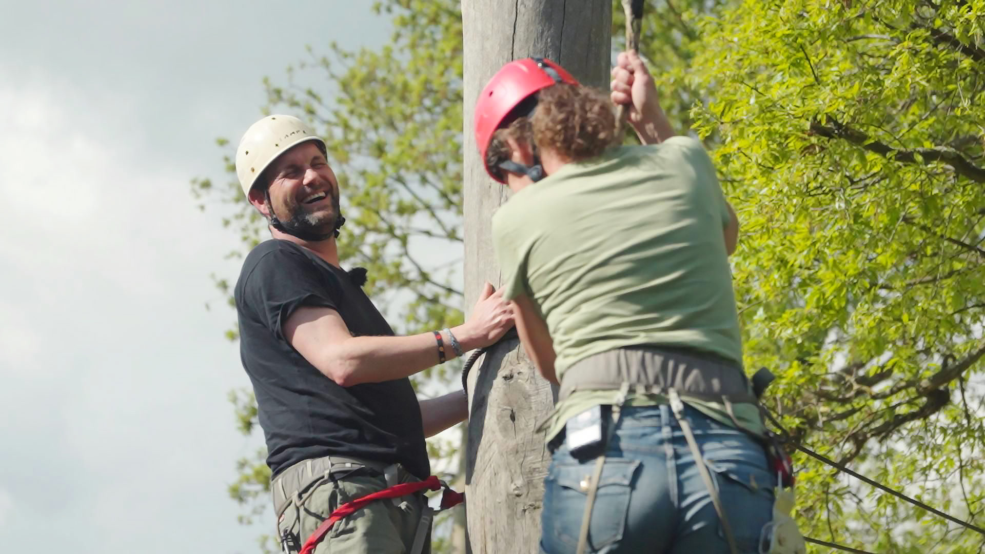 Kreuzfahrt, Camping & Pauschalreise