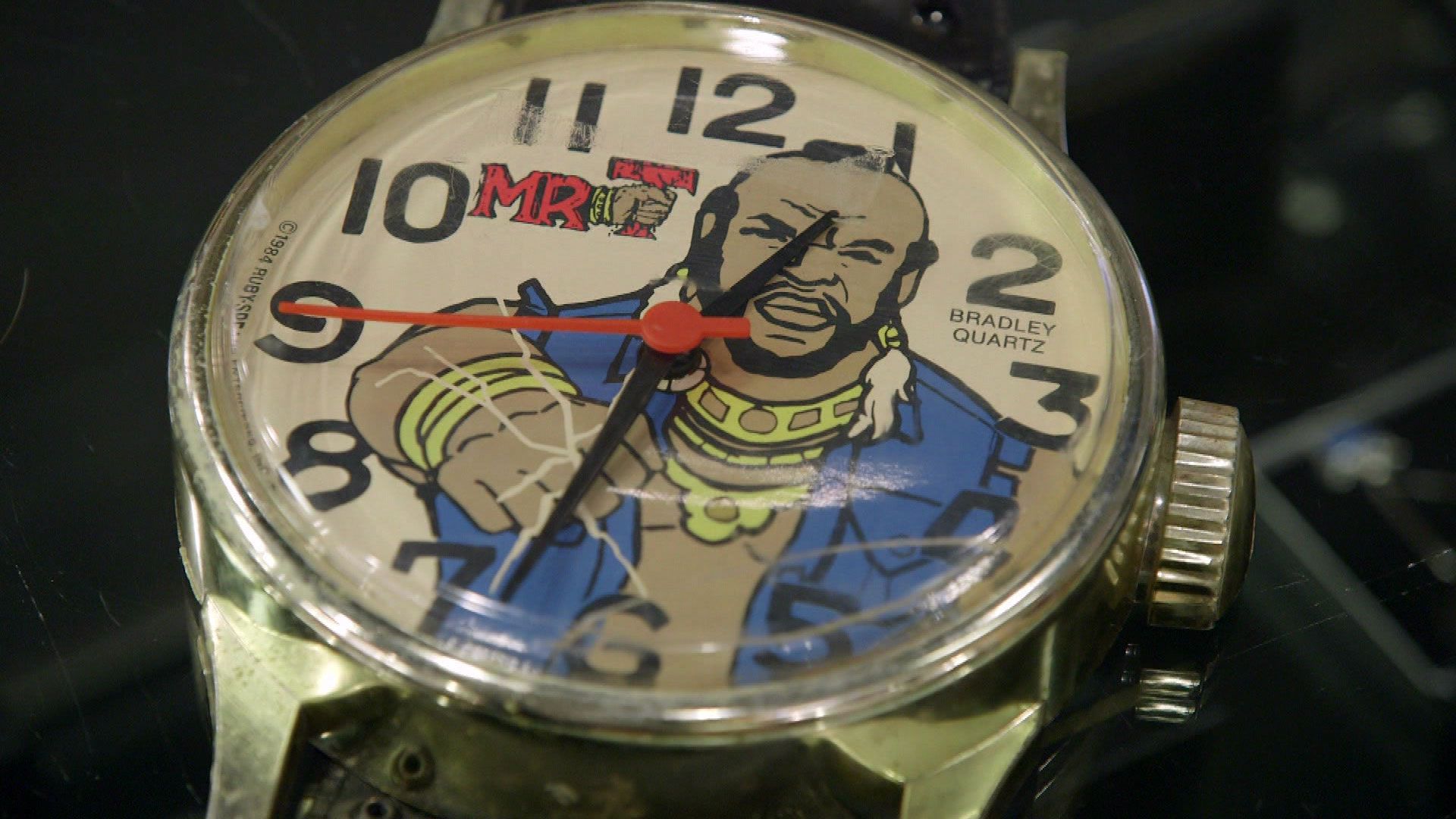 Ausflug in die Urzeit