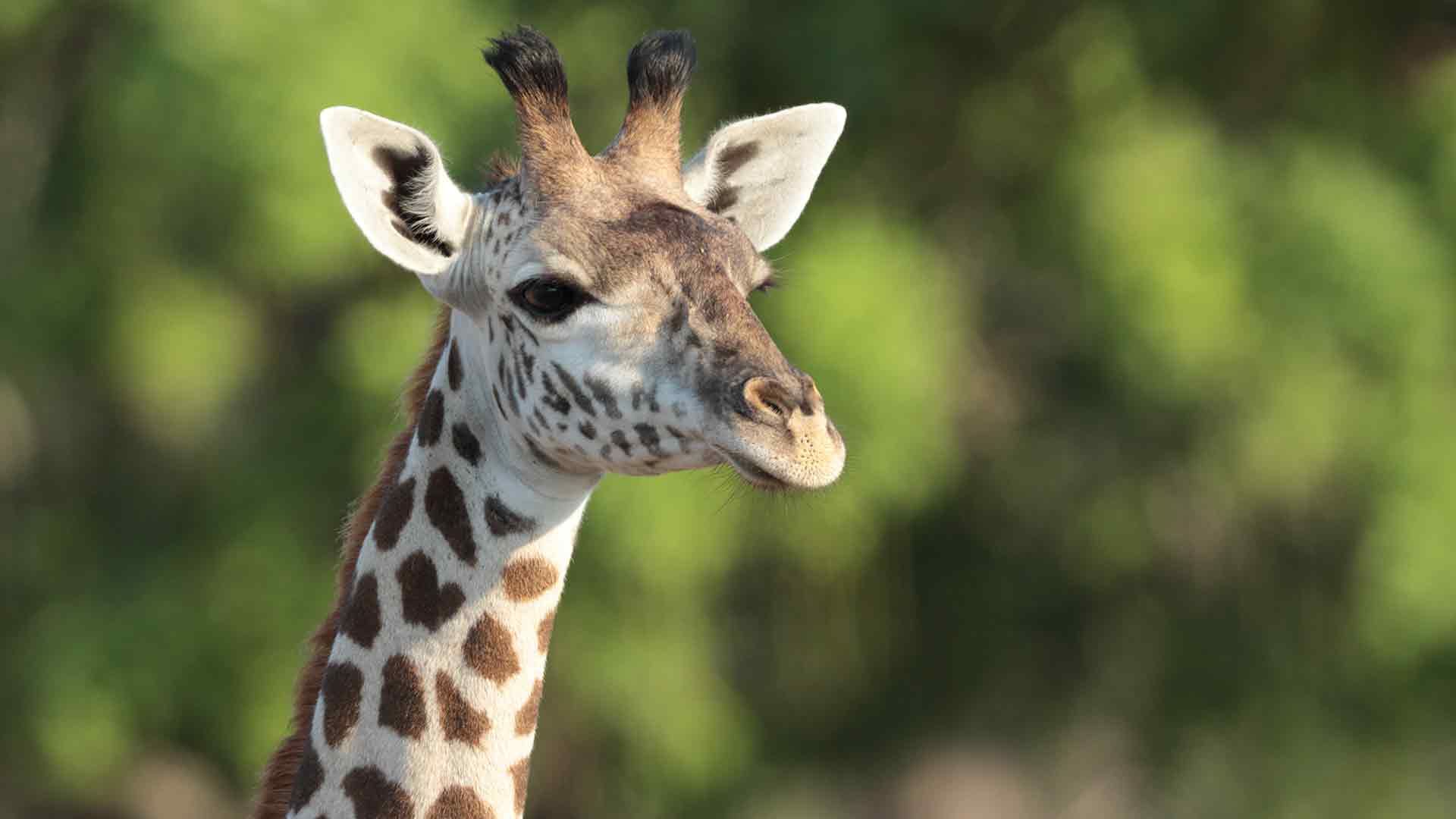 Immer dem Wasser nach