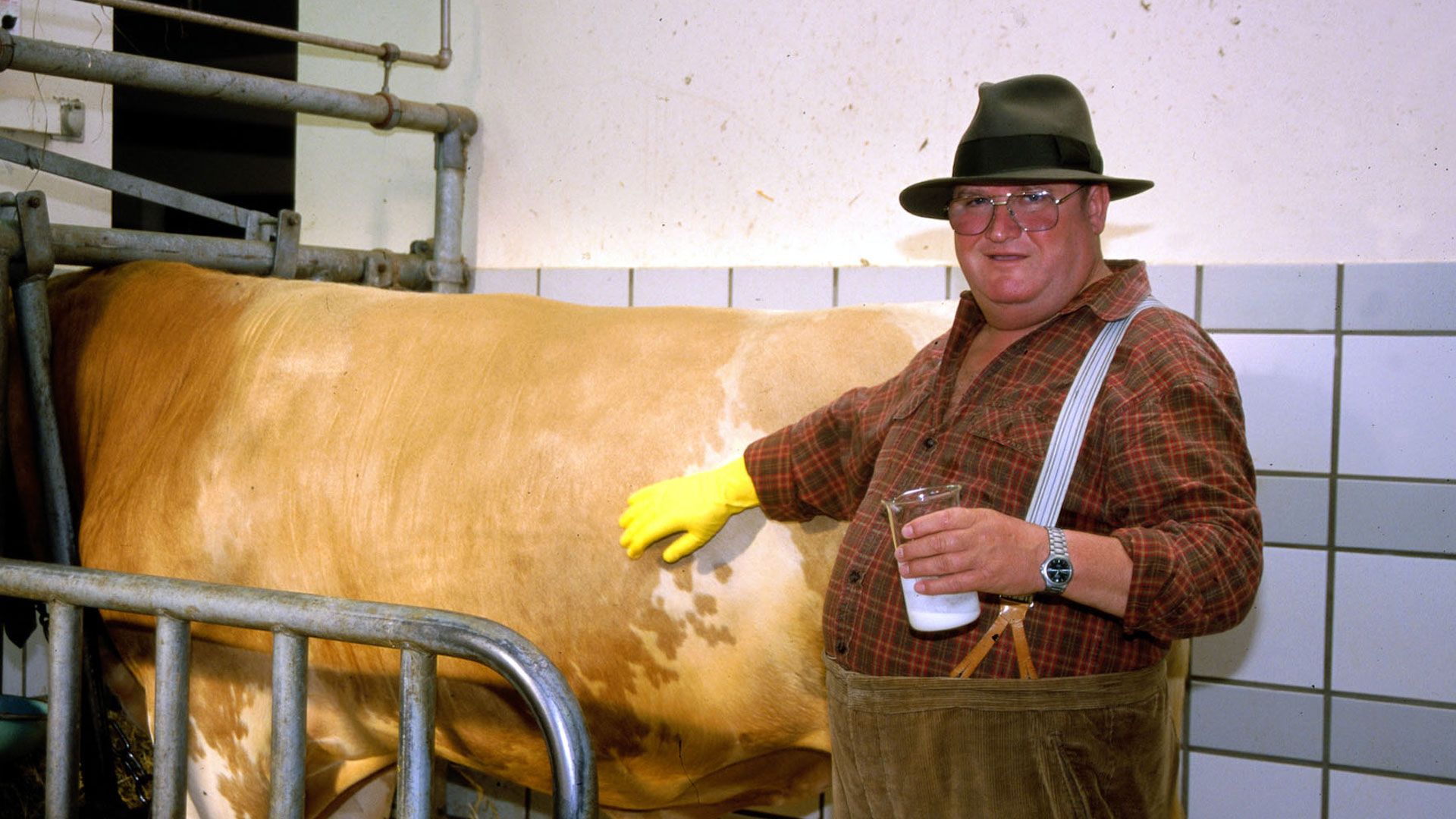 Ein ganz normaler Stier