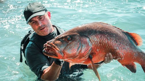Chasing Monsters - Monsterfischen auf der Spur Chasing Monsters - Monsterfischen auf der Spur Folge 2: Am Golf von Chiriqui