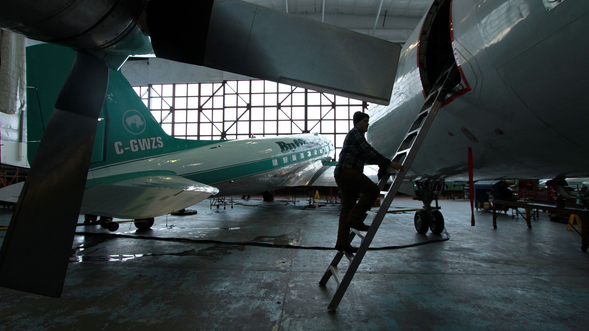 Von Profis und Amateuren