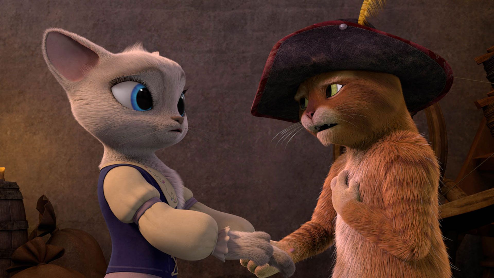 Eine Katze für die Hexe