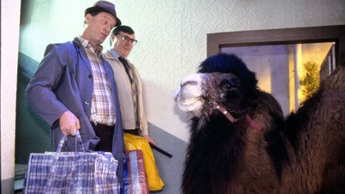 Hausmeister Krause - Ordnung muss sein Hausmeister Krause - Ordnung muss sein Folge 15: Magische Pilze