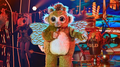The Masked Singer The Masked Singer Folge 2: Das Rätseln geht weiter