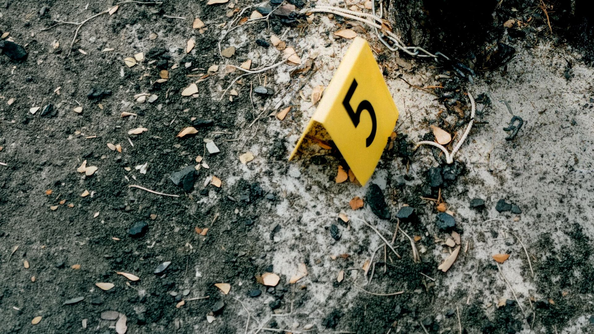 Killer Couples: Mörderische Paare