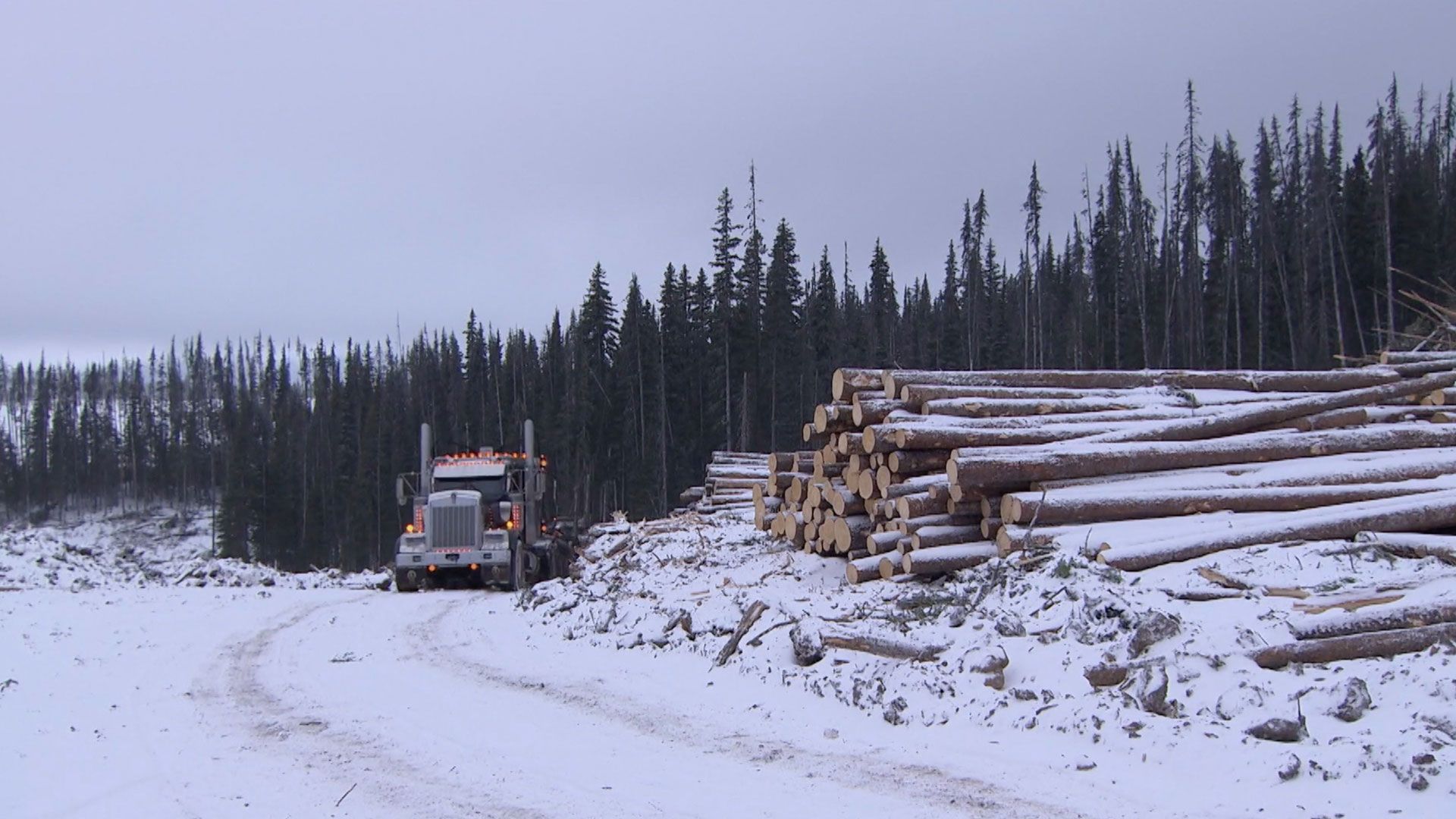 Die Tage nach Mikes Unfall