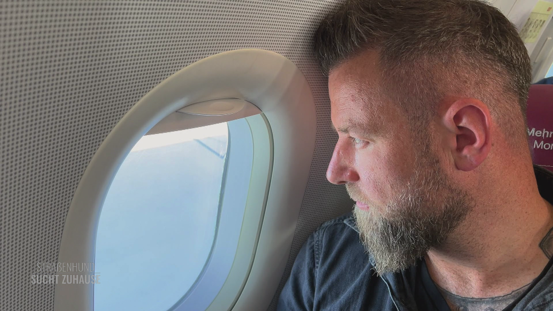 Mit "Ein Herz für Hunde" in Bosnien unterwegs