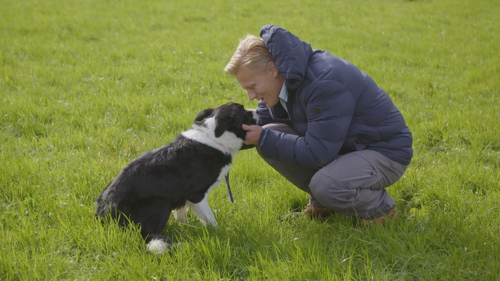Scotts Einsatz für verlorene Hunde