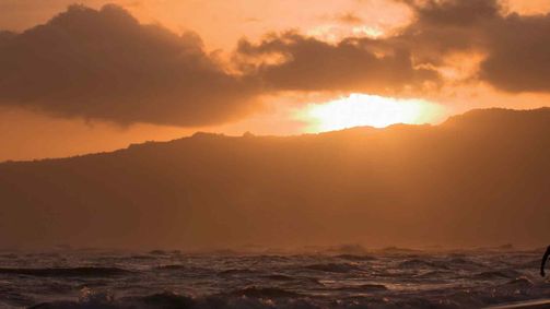 Lebendiger Strand Lebendiger Strand Folge 4: Hawaii