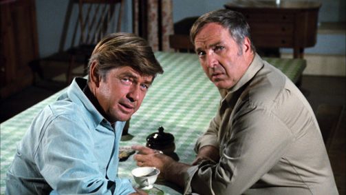Die Waltons WALTONS, DIE - 06 Folge 11: Die Vagabunden