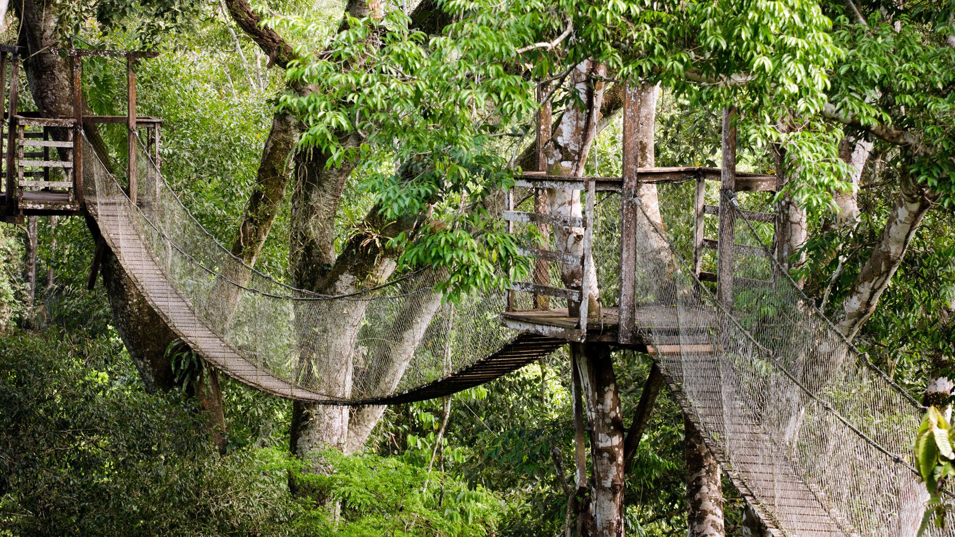 Ein Abakus aus Totenschädeln