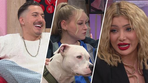 Promi Big Brother - Die Late Night Show Staffel 2025 Folge 10: Der heroische Exit: Sarah-Jane Wollny zeigt wahre Größe