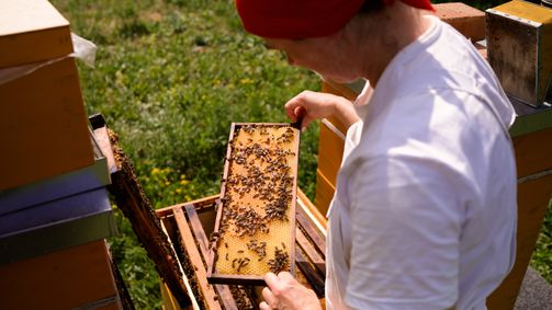 Wetterleben mit Manuel Kelemen WETTERLEBEN MIT MANUEL KELEMEN - 03. STAFFEL Folge 2: Honig & Bienen